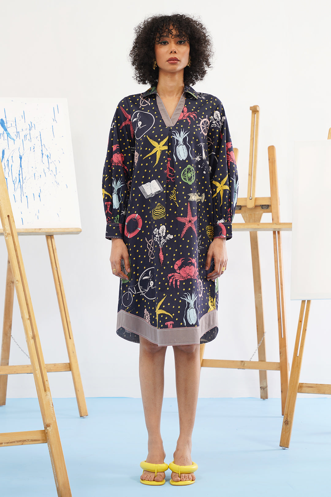 Galaxy Embroidered Dress