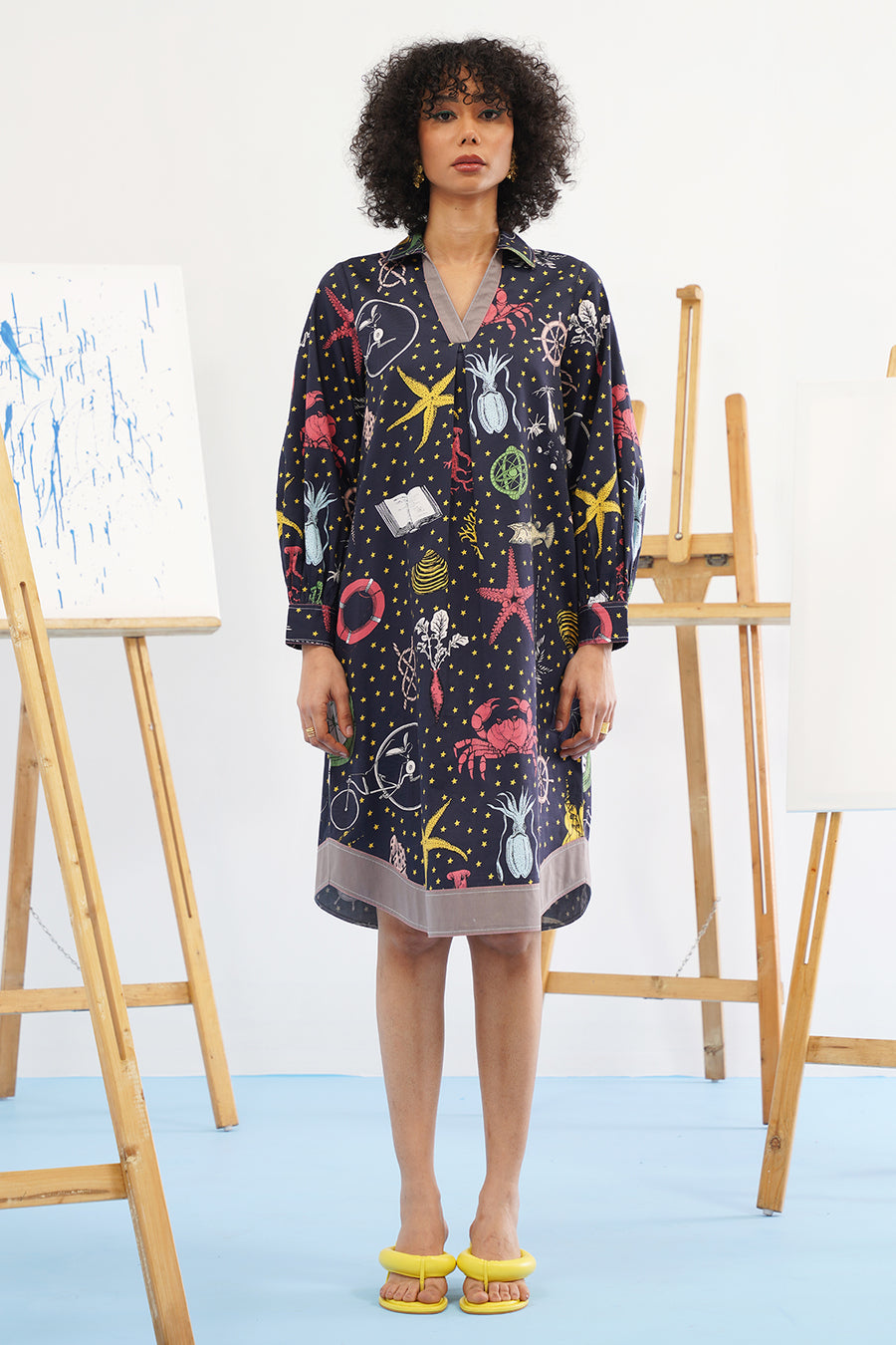 Galaxy Embroidered Dress