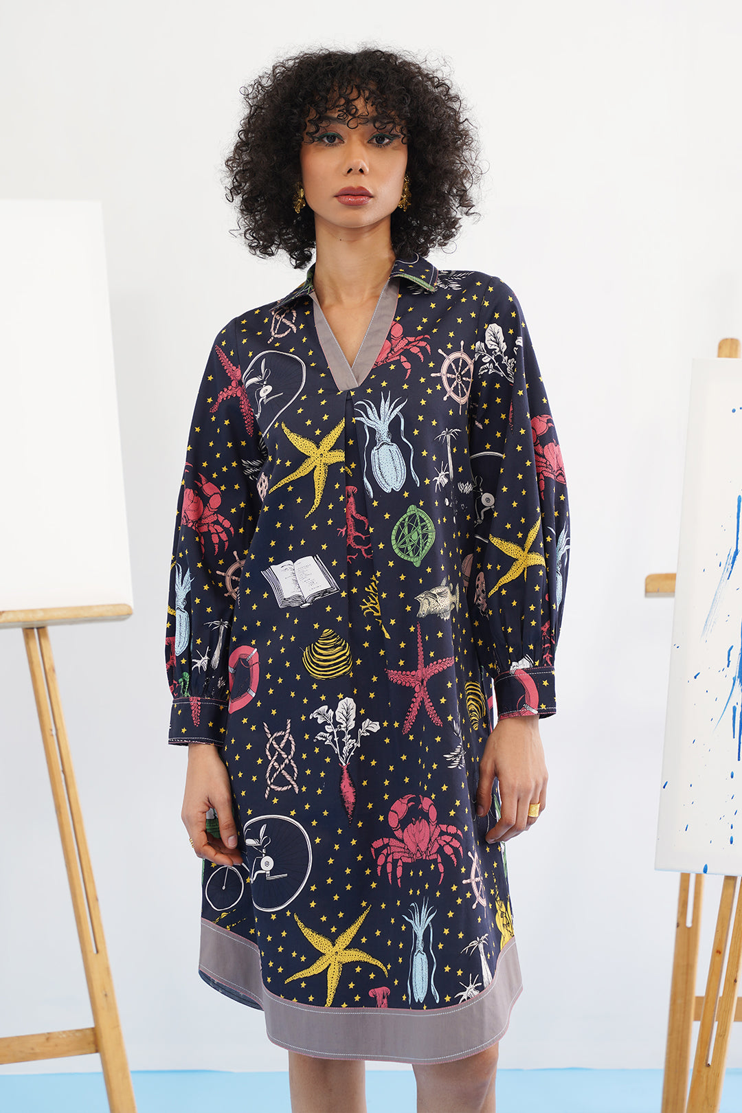 Galaxy Embroidered Dress