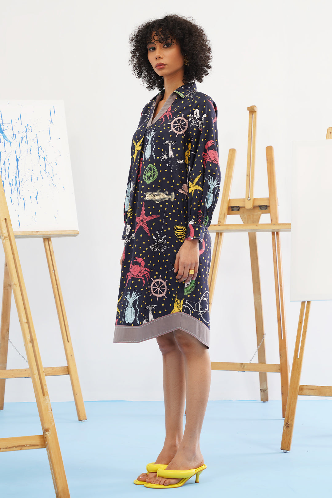 Galaxy Embroidered Dress