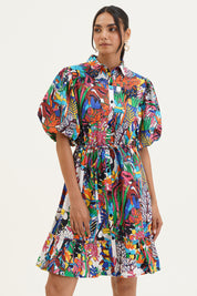 Phoenix Dress